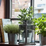 Hanza Γκντανσκ