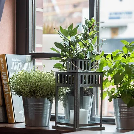 Hanza Γκντανσκ